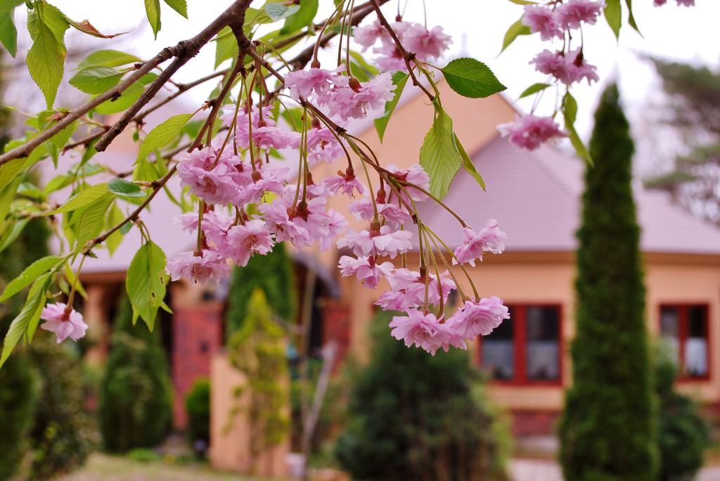 Aromatic Garden Villa La Poltrona Nasu Esterno foto